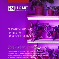 Лампа светодиодная LED-A65 STD-ФИТО красно-синий спектр 25Вт 230В Е27 IN HOME